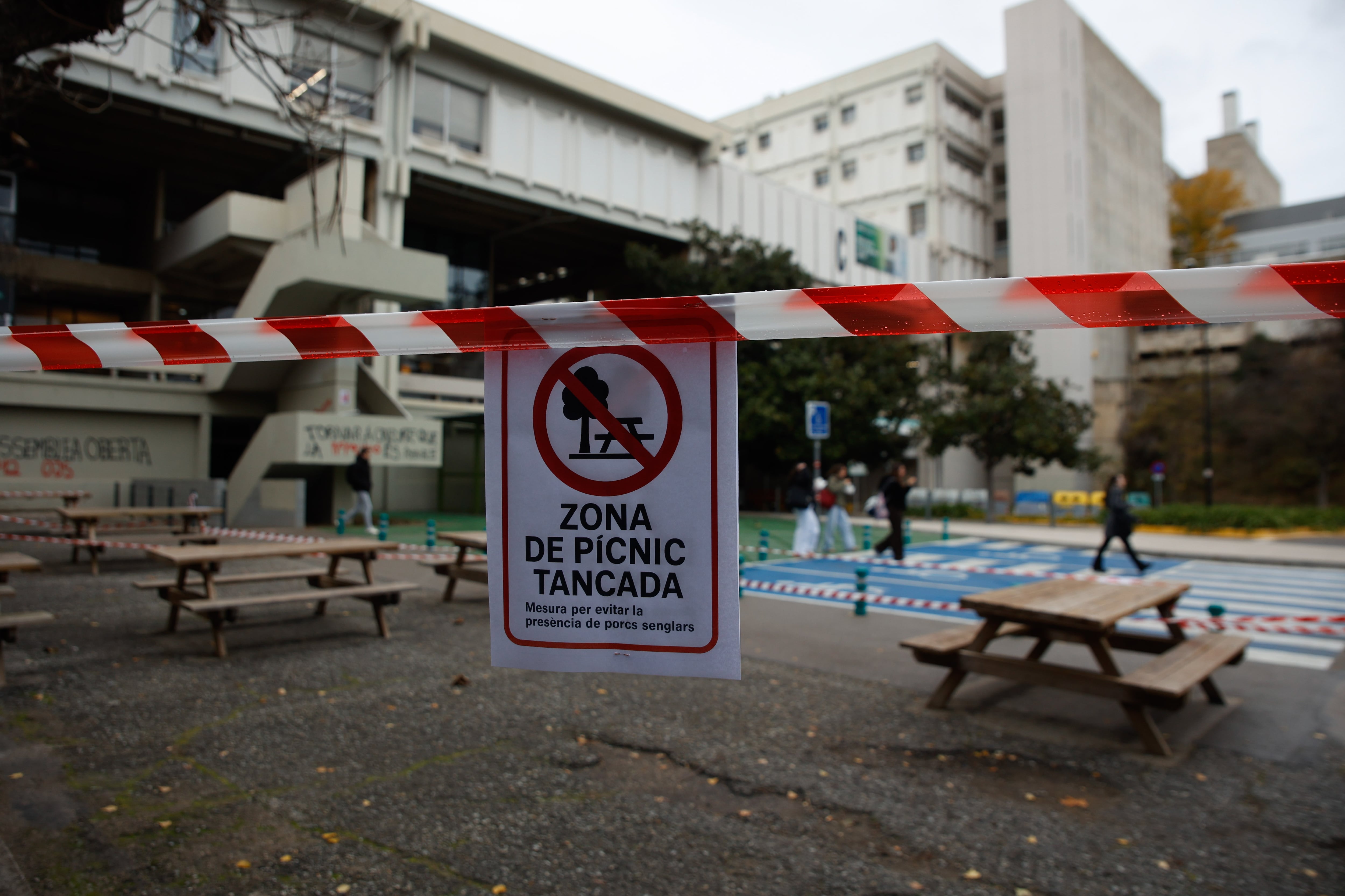 Carteles de zona precintada en las áreas destinadas al picnic de la Universidad Autónoma de Barcelona (UAB) por la peste porcina africana.