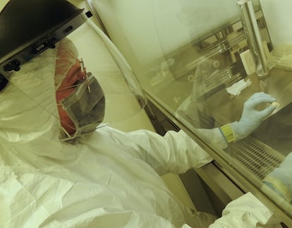 The scientist Elena Essel, one of the researchers who designed the new technique for extracting DNA, works with the archaeological artefact. It is handled with extreme care, to avoid DNA contamination. 