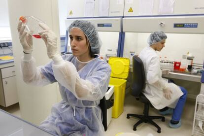 Investigadores en el laboratorio de Histocell, del grupo Noray, dedicado a explorar productos innovadores para medicina regenerativa.