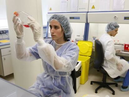 Investigadores en el laboratorio de Histocell, del grupo Noray, dedicado a explorar productos innovadores para medicina regenerativa.