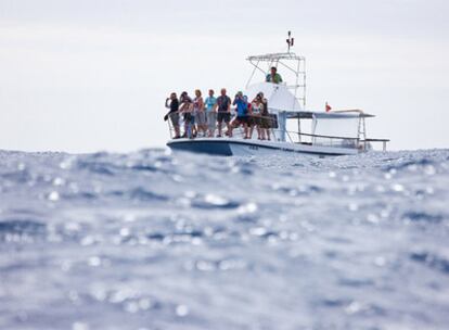 un grupo de turistas  a la <i>caza visual </i>de los cachalotes.
