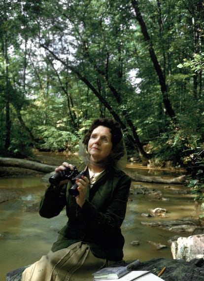 Rachel Carson en un bosque en 1962.