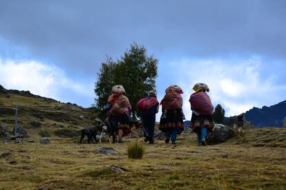 Las pocas personas que se cruzan por el camino son lugareños que viven de la agricultura y la ganadería en estas tierras, o sus hijos.
