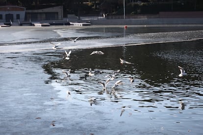 Otra imagen de la Casa de Campo.