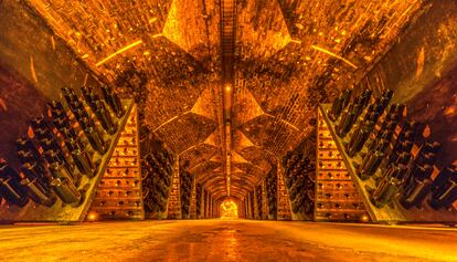 Sparkling wine bottles aging in old cellar, France