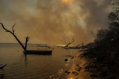 Desde principios de 2020, todo el delta del Paraná ha sido devastado por el fuego