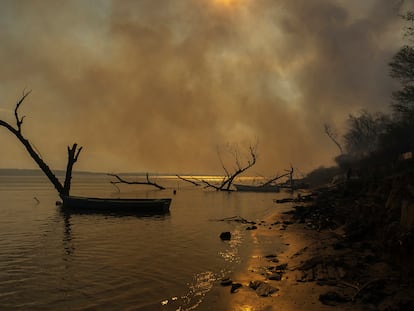 Desde principios de 2020, todo el delta del Paraná ha sido devastado por el fuego. Las cifras indican que la suma de todos los incendios registrados hasta el momento ha destruido más de 1 millón de hectáreas de humedales.