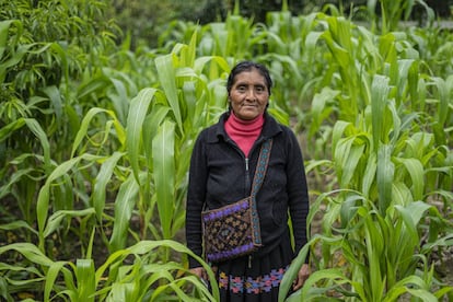 Antonia Sántiz López porta una bolsa elaborada por ella y que muestra la iconografía típica de la zona de Tenejapa, en Chiapas.