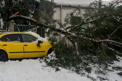 Un árbol derrumbado sobre un coche, tras la nevada fruto del temporal Filomena, en Pozuelo de Alarcón (España), el 10 de enero de 2021.