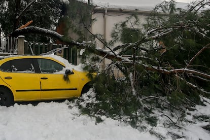 Un árbol derrumbado sobre un coche, tras la nevada fruto del temporal Filomena, en Pozuelo de Alarcón (España), el 10 de enero de 2021.