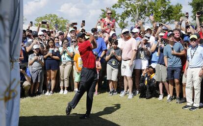 Tiger, rodeado de aficionados en Bay Hill.