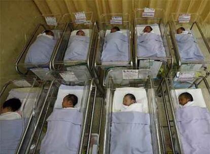 Un grupo de recién nacidos en la maternidad de un hospital.