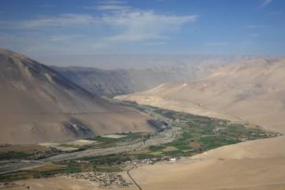 El valle de Lluta, un oasis en medio del desierto del norte chileno.