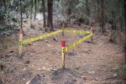 En Colombia, las minas antipersona han dejado 60 víctimas en 2019.