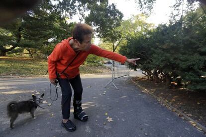Florence Slatkin, con su perro, señala el lugar donde encontró al oso muerto.