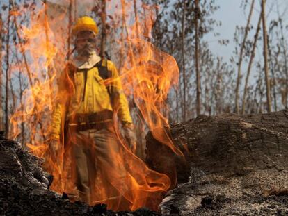 Un bombero durante los combates de los incendios en la selva amazónica brasileña.