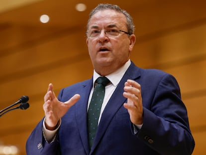 José Antonio Monago, senador del PP, durante su intervención en la Cámara alta el pasado 12 de diciembre.