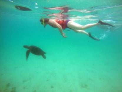 Una turista nada cerca de una tortuga marina en las Galápagos.
