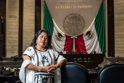 Inés Parra Juárez en la Cámara de Diputados