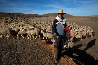 Hassan Bellahmama posa en los campos del pueblo de Alfambra, en Teruel, adonde ha llevado a un rebaño de 1.000 ovejas a pastar. Originario de la localidad rural de Kelaa, cerca de Marrakech, llegó a España con 19 años y un contrato de pastor ya firmado en el bolsillo. Ahora, después de 11 años en el país, acaba de obtener el visto bueno a la reagrupación familiar que ha solicitado para traer de Marruecos a su mujer y a su hijo de un año medio. Llegó a Alfambra hace un año con el programa Nuevos Senderos de la Fundación Cepaim.