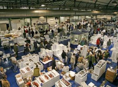 Una vista de la nave de los mayoristas de pescado de Mercavilla.