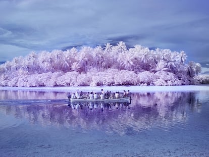 Pingeland, la isla de los daltónicos