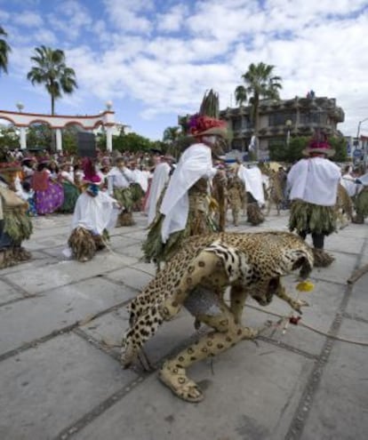 Los tres personajes principales de la danza del Poch&oacute; de 
 Tenosique, en Tabasco (M&eacute;xico): las pochoveras (mujeres), con sus largas faldas; los coj&oacute;s (hombres), con sus m&aacute;scaras de maderas y capas blancas, y en primer plano un tigre.