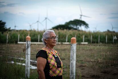 La señora Guadalupe Ramírez, de 70 años, lleva una década defendiendo su territorio de las empresas eólicas.