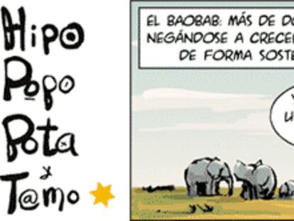 RAMÓN