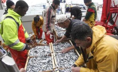 Pescadores en el puerto de Tarragona.