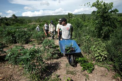 Iván Rodríguez, a farmer from the Yororoba community, is reforesting his land with ‘chiquitana’ almond trees.