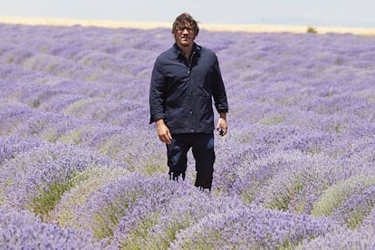 Sergio Peris-Mencheta, en los campos de lavanda de Brihuega (Guadalajara).