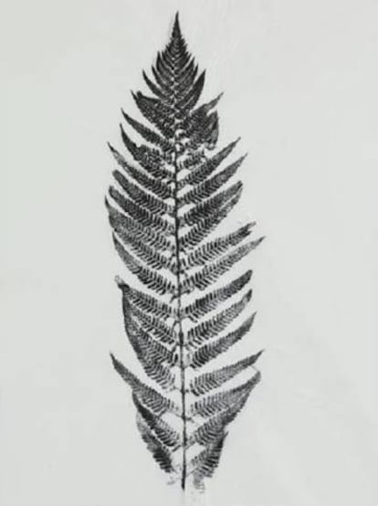 Una hoja de Oriol Vilapuig en su exposición en el MNAC.