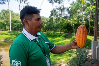 Jhonny Tancara Jacinto, miembro de las cooperativas El Ceibo, sujeta una vaina de cacao cultivada en la región.