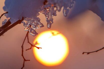 La salida del sol ilumina la nieve que cubre un árbol, en Újudvar (Hungría), el 15 de febrero de 2018.