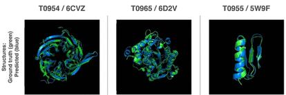 Ilustración de la forma 3D de proteínas del concurso. En verde, la estructura real de las moléculas, en azul, la estructura que predijo el algoritmo AlphaFold.