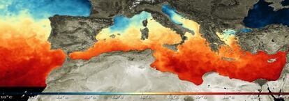 Con la ayuda de los datos tomados desde satélites, los expertos determinan, día a día, la temperatura de la superficie del mar, el Mediterráneo en este caso.