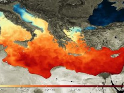 Con la ayuda de los datos tomados desde sat&eacute;lites, los expertos determinan, d&iacute;a a d&iacute;a, la temperatura de la superficie del mar, el Mediterr&aacute;neo en este caso. 