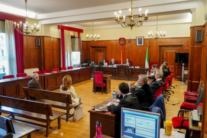 Desarrollo del juicio este lunes en la Audiencia de Sevilla por el caso Faffe.