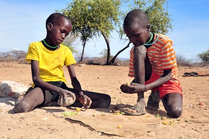 Arupe y Achore empiezan a golpear la fruta salvaje con una piedra para facilitar su cocinado. Los chicos separan la piel de las semillas; estas se mezclarán con ceniza porque, según la comunidad, así se elimina el veneno.