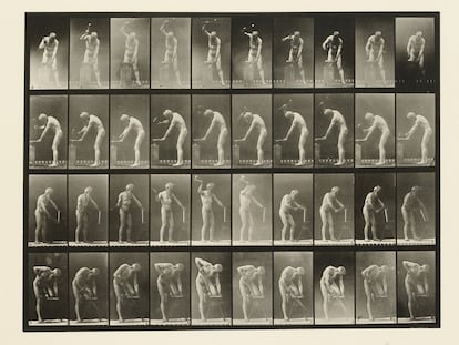 Eadweard Muybridge y el tiempo del movimiento