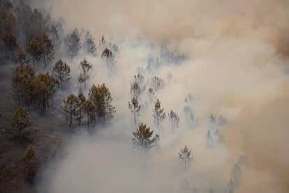 Avance de las llamas en la sierra de O Courel, este lunes.