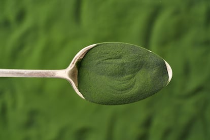 Microalgae