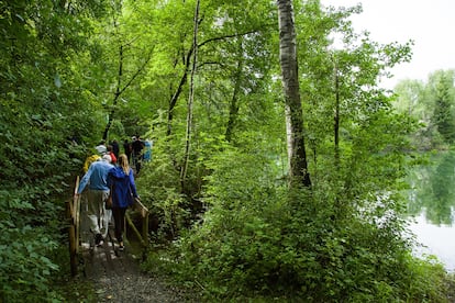 A group of the refugees’ descendants walking in the footsteps of their relatives in the Alpine Rhine at a reunion in 2017.