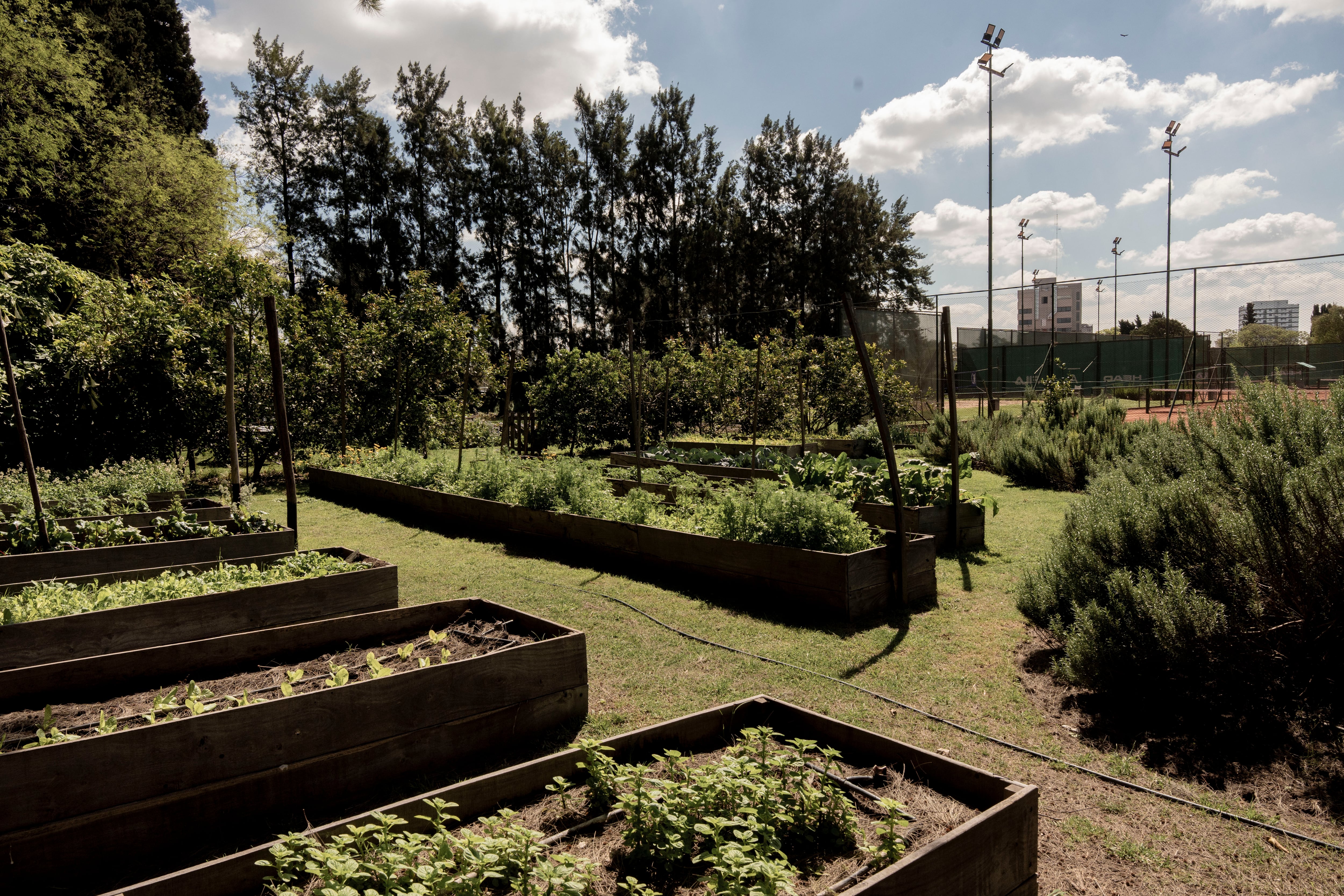 Vista de la huerta de Mezcla Casa Gastronómica.