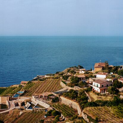 Mayo de 2024 - Reportaje sobre vinos de Mallorca - ©Mariano Herrera    ----PIEFOTO----    El territorio histórico de los vinos de malvasía mallorquines se sitúa, sobre todo, en los bancales situados frente al mar en Banyalbufar, al oeste de Mallorca.