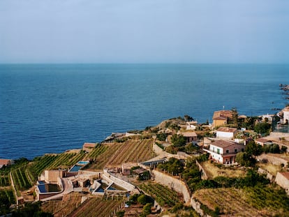 El territorio histórico de los vinos de malvasía mallorquines se sitúa, sobre todo, en los bancales situados frente al mar en Banyalbufar, al oeste de Mallorca.