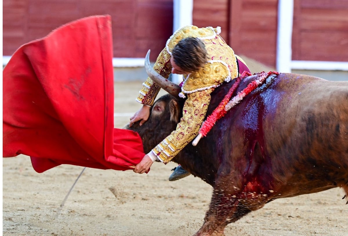 Novillero Álvaro Serrano seriously injured during solo bullfight