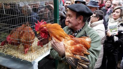 Juan Zabala con uno de sus pollos.