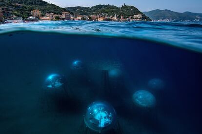 Las biosferas del Jardín de Nemo se encuentran a 40 metros de la costa de Noli, un pequeño pueblo de la región de Liguria, en la Italia noroccidental, a una distancia elegida estratégicamente para hacer de las incursiones una actividad accesible. Su profundidad oscila entre los seis y los 12 metros. Así, las plantas pueden aprovechar la fuente de luz necesaria para su desarrollo. En el centro se encuentra lo que se conoce como el árbol de la vida, donde se separan y distribuyen los cables para conectar los dispositivos electrónicos. En la imagen, el invernadero subterráneo visto desde la superficie.